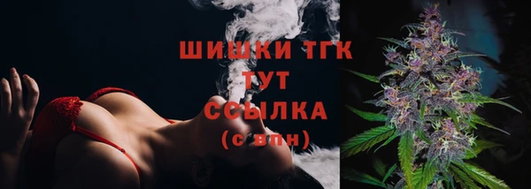 прущая мука Арсеньев