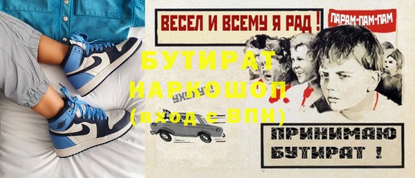 хмурый Бикин