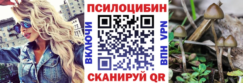 ссылка на мегу   Балей  Псилоцибиновые грибы Magic Shrooms 